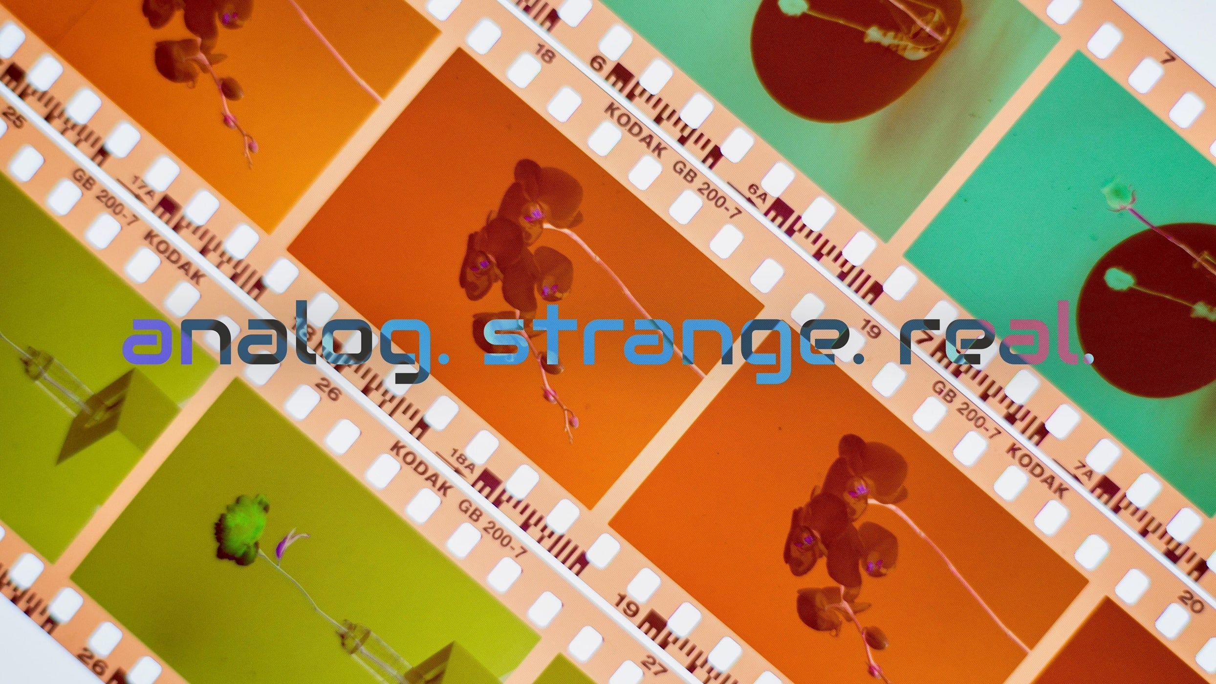 Kodak film strip with inverted tagline: analog. strange. real.